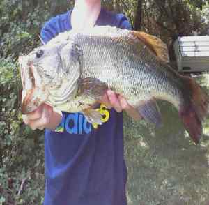 20.5 inch, 6 lb SLOUNCH in Long Island New York