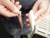 post-4929-0-41573500-1326598013_thumb.jp