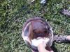 post-18019-0-75369700-1358537340_thumb.j