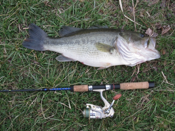 Please Recommend A Rod Reel Combo For Small Pond. (120' X 300