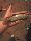post-39295-0-22391200-1392194012_thumb.j