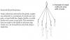 post-25379-0-79664800-1423936248_thumb.j