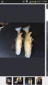 post-1759-0-10334600-1395292646_thumb.jp