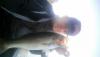 post-16358-0-12088200-1425698140_thumb.j