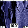 post-10066-130162991057_thumb.png