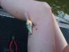 post-10066-130162991291_thumb.jpg