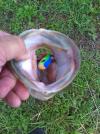 post-10066-13016299474_thumb.jpg