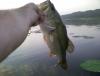 post-10436-130162877036_thumb.jpg