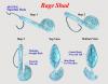 post-11109-130162882223_thumb.jpg