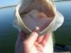 post-11109-130162997442_thumb.jpg