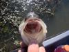 post-11232-130162989214_thumb.jpg