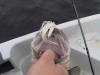 post-11232-130162997681_thumb.jpg