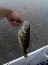 post-11232-130162999668_thumb.jpg
