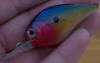 post-11410-130162895163_thumb.jpg