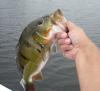 post-11841-130162984047_thumb.jpg
