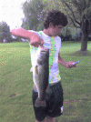 post-12517-130162932635_thumb.gif