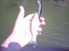 post-12816-130163018814_thumb.jpg