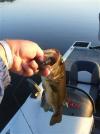 post-13605-130162993432_thumb.jpg