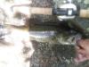 post-14436-130163018928_thumb.jpg