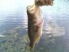 post-14567-130163012164_thumb.jpg