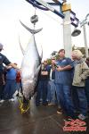 post-15200-130162966872_thumb.jpg
