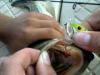 post-15505-130162877949_thumb.jpg