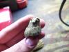 post-16127-130162960426_thumb.jpg
