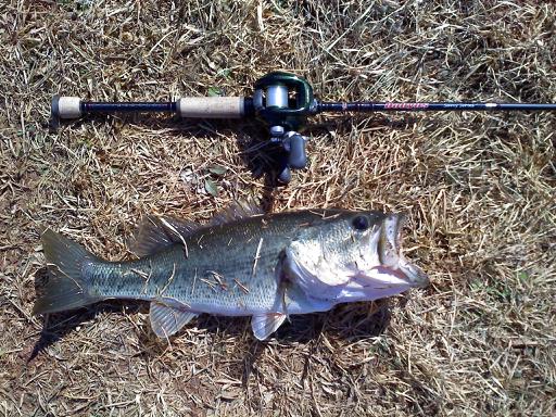 Help reading my scale. - Fishing Tackle - Bass Fishing Forums