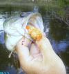 post-1747-130163007452_thumb.jpg