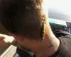 post-18287-130162881408_thumb.jpg