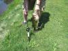 post-19474-0-51522600-1304207849_thumb.j