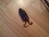 post-19486-130162882142_thumb.jpg