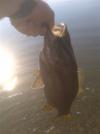 post-20511-130162889314_thumb.jpg