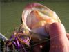 post-2373-130162978563_thumb.jpg