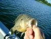 post-24087-130162930854_thumb.jpg