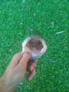 post-24727-130162886134_thumb.jpg