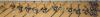 post-25396-130162930226_thumb.jpg