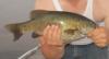 post-27947-130163021101_thumb.jpg