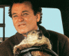 post-29664-130162967617_thumb.gif