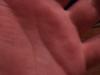 post-299-13016294974_thumb.jpg