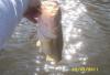 post-29958-130163017439_thumb.jpg