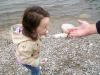 post-3004-130162995748_thumb.jpg