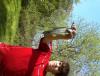 post-30315-0-42598500-1304171738_thumb.j