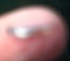 post-3431-130162873397_thumb.jpg