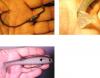 post-3431-130162877525_thumb.jpg