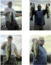 Varner_swimbait_bass_001.jpg