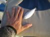 post-5377-130162977691_thumb.jpg