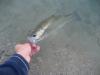 post-6148-130162979903_thumb.jpg