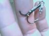 post-6699-130162875909_thumb.jpg
