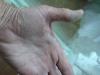 post-6984-130163010443_thumb.jpg